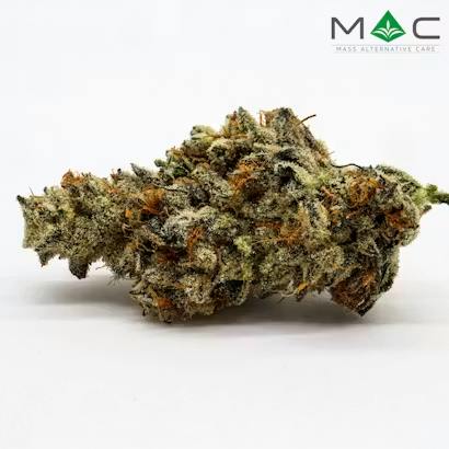 Product Golden Sands | Flower | 3.5g