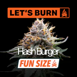 Let's Hashburger Fun Size