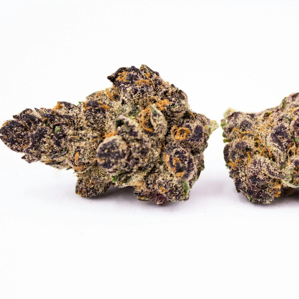 Product: Aruna | Zacha | Flower