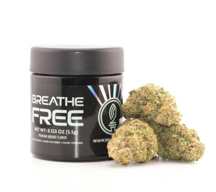 Breathe Free | Electric Parfait | Flower