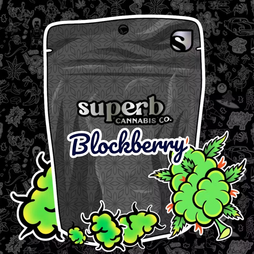 Superb | Blockberry