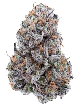 Hybrid (Neon Sunshine) | 14G | Spiritleaf Ambassador Plaza (Windsor)