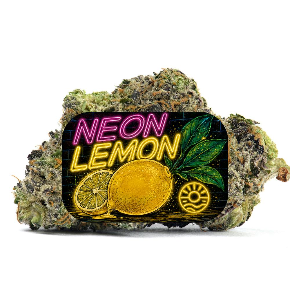 ボンボネロ Shop Shauncron Neon Lemon in Port Charlotte | Cookies Florida