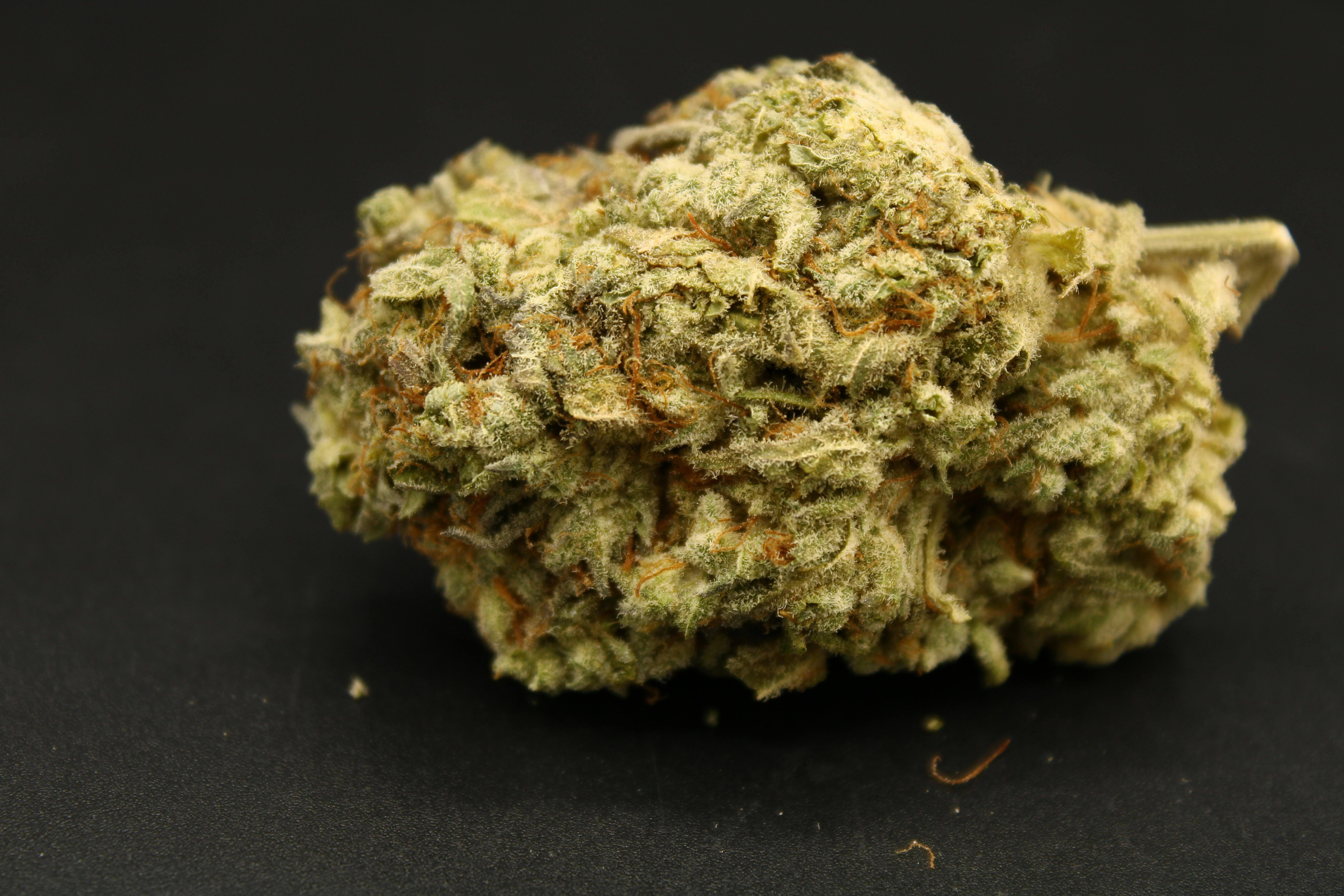 Download Ewgw16pgjt2arm