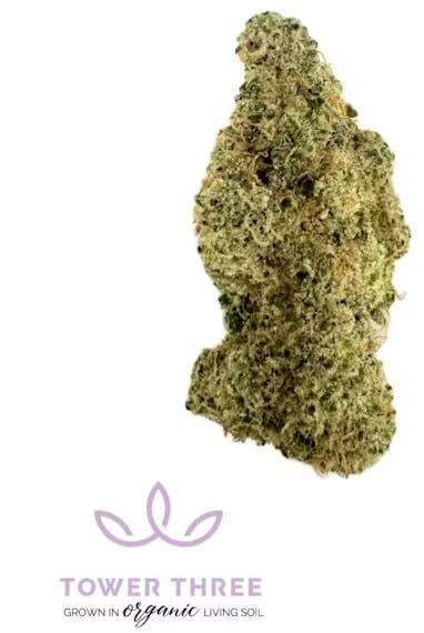 Product Zsunami Buds