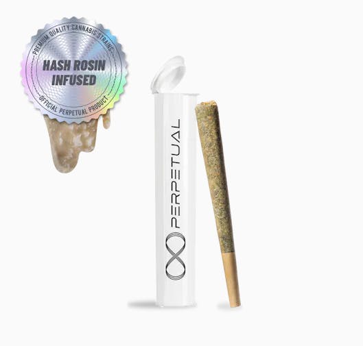 Product Perpetual | Durban Poison | Infused Preroll | 1g
