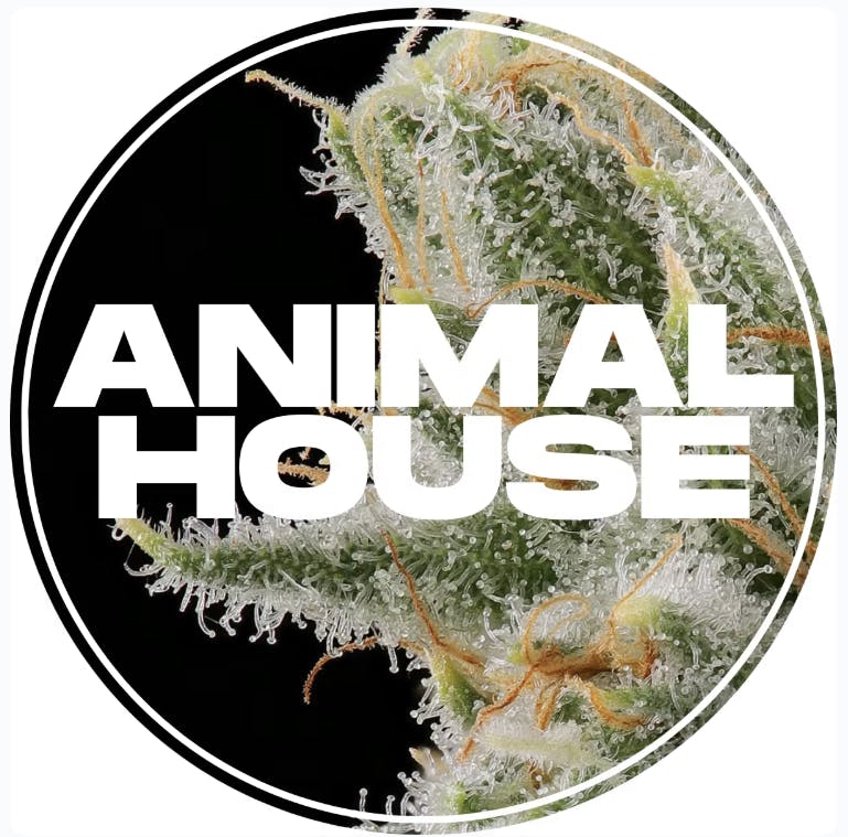 Animal House Sour Goji 5G