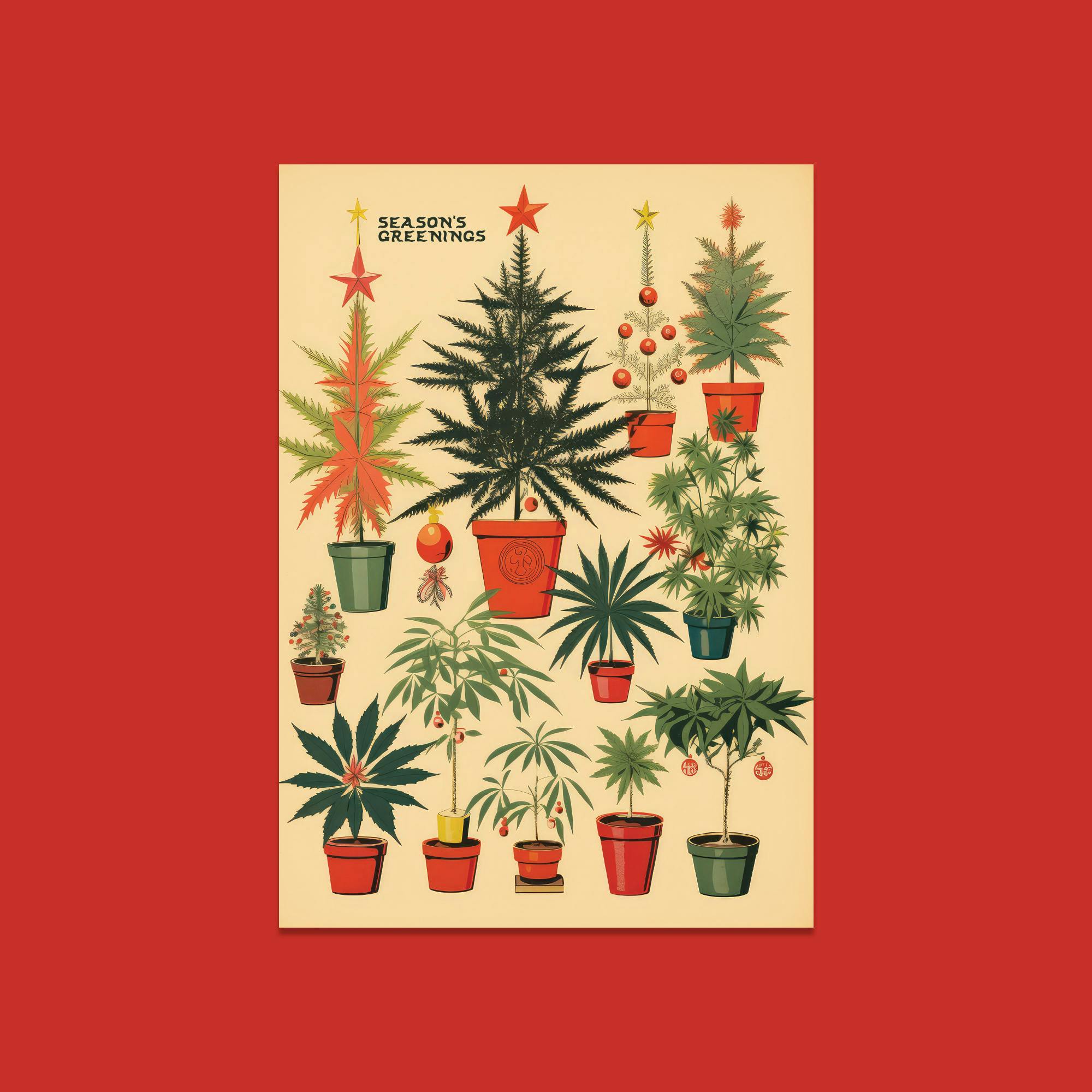 season-s-greetings-holiday-card-embarc