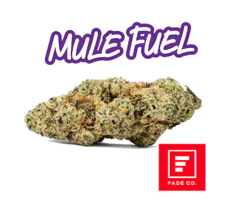 Mule Fuel 3.5g – Fade Co. (Pre-Pack)-active