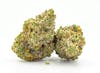 AMP flower 20% Off