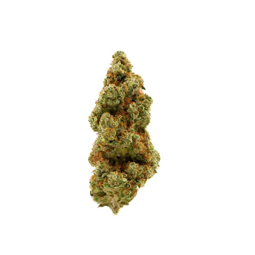 Brighterside Farms | Flower | Roasted Garlic Margy RGM | 3.5g-2