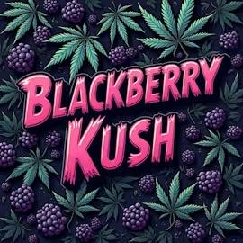 DELI - Pro Gro - Blackberry Kush (Smalls)
