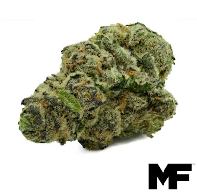 Astrozane 15g - Just Flower (Pre-Pack) - Remedy Maryland