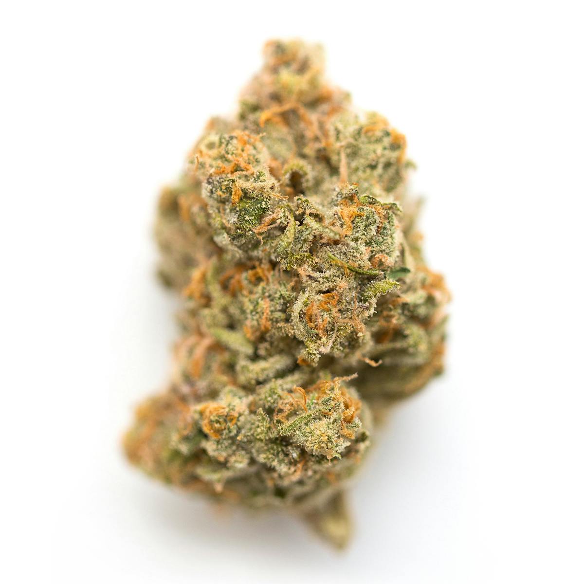 Photo of Truffle Cake (Left Coast Farms)