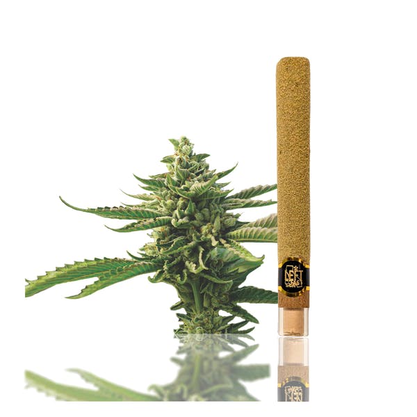 Left Coast - Strawberry Banana Infused Blunt - 2G