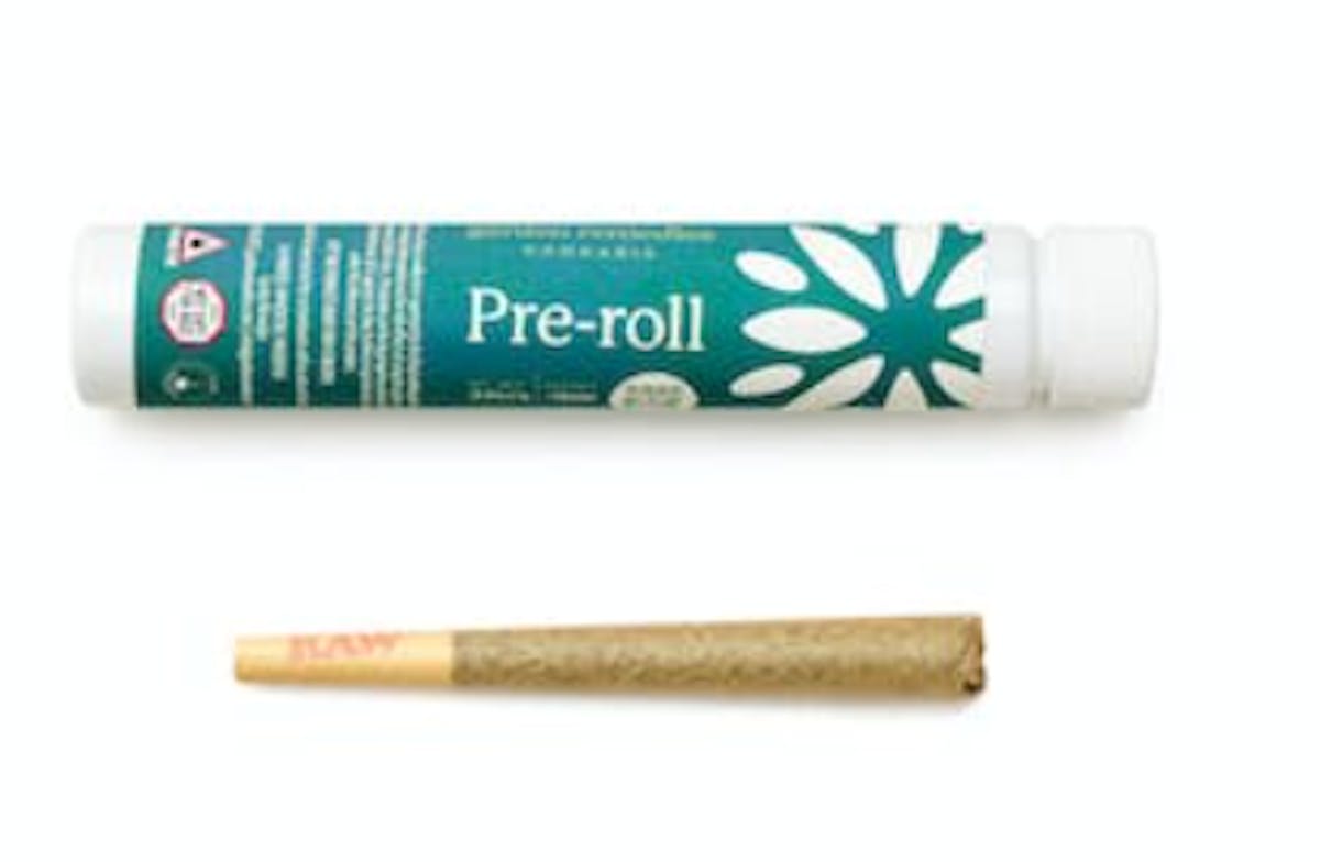 Photo of Realm | Governmint Oasis | Pre Roll (I)