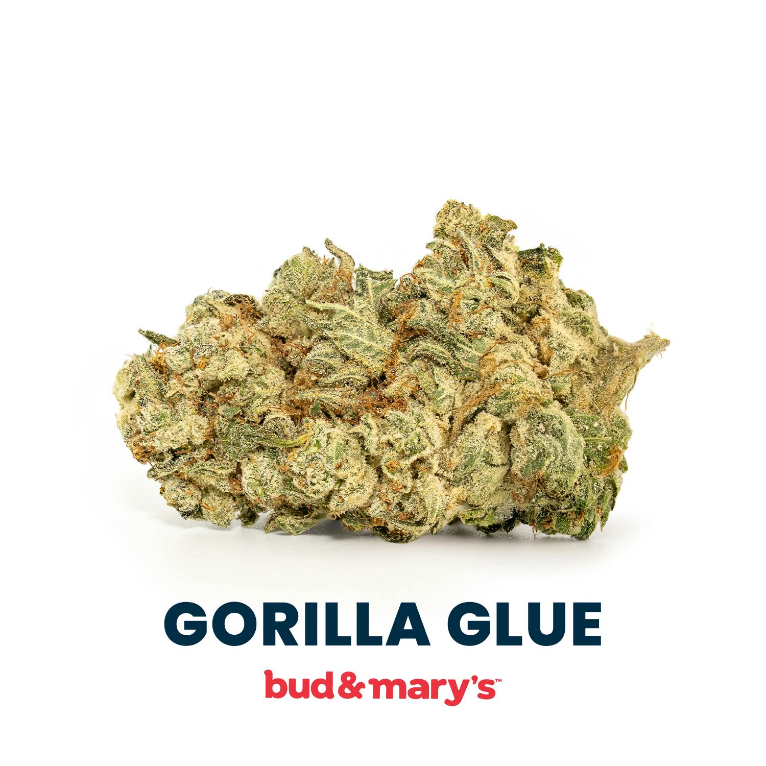 Product: Bud & Mary's | Pre-Pack - 3.5g - Gorilla Glue #4