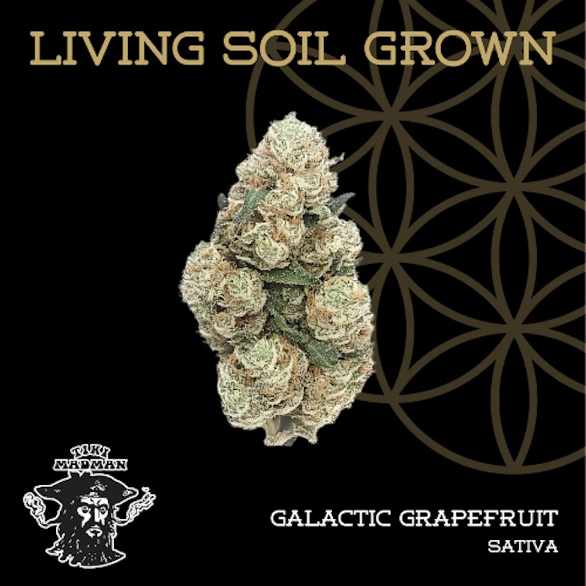 Flower Of Life Flower Galactic Grapefruit