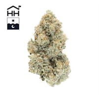 Product Motorbreath
