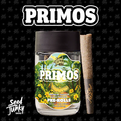 Seed Junky - 5-Pack .6g Bubble Hash Infused Prerolls - Banana Fruz - PRE_ROLLS by Seed Junky at King of Budz