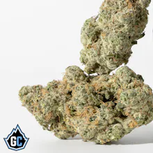 Apple Tartz - FLOWER by Glacier Cannabis at King of Budz