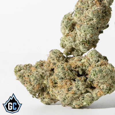 Apple Tartz - FLOWER by Glacier Cannabis at King of Budz
