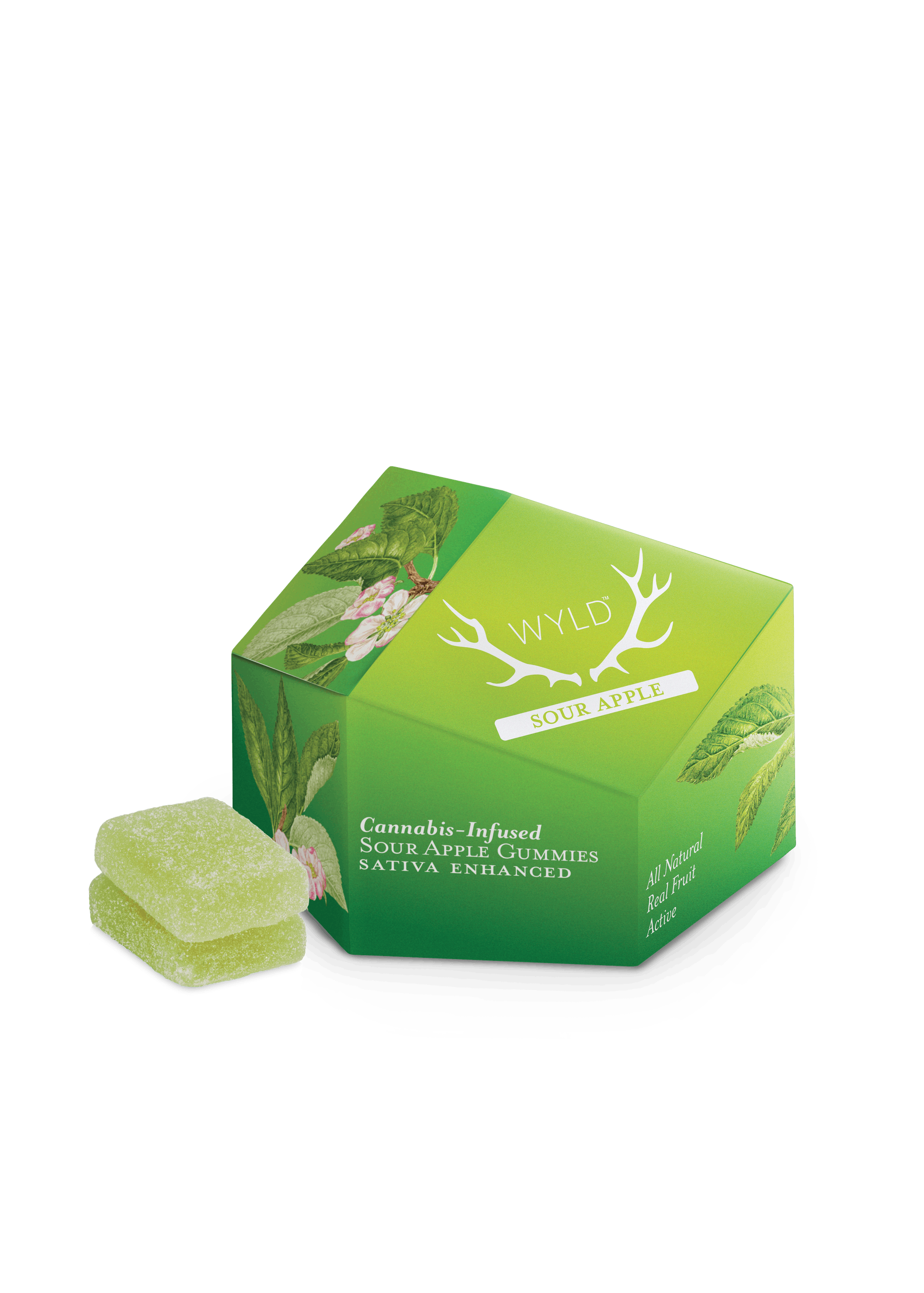 f683819996ae1e816fc4de72bdcdc6