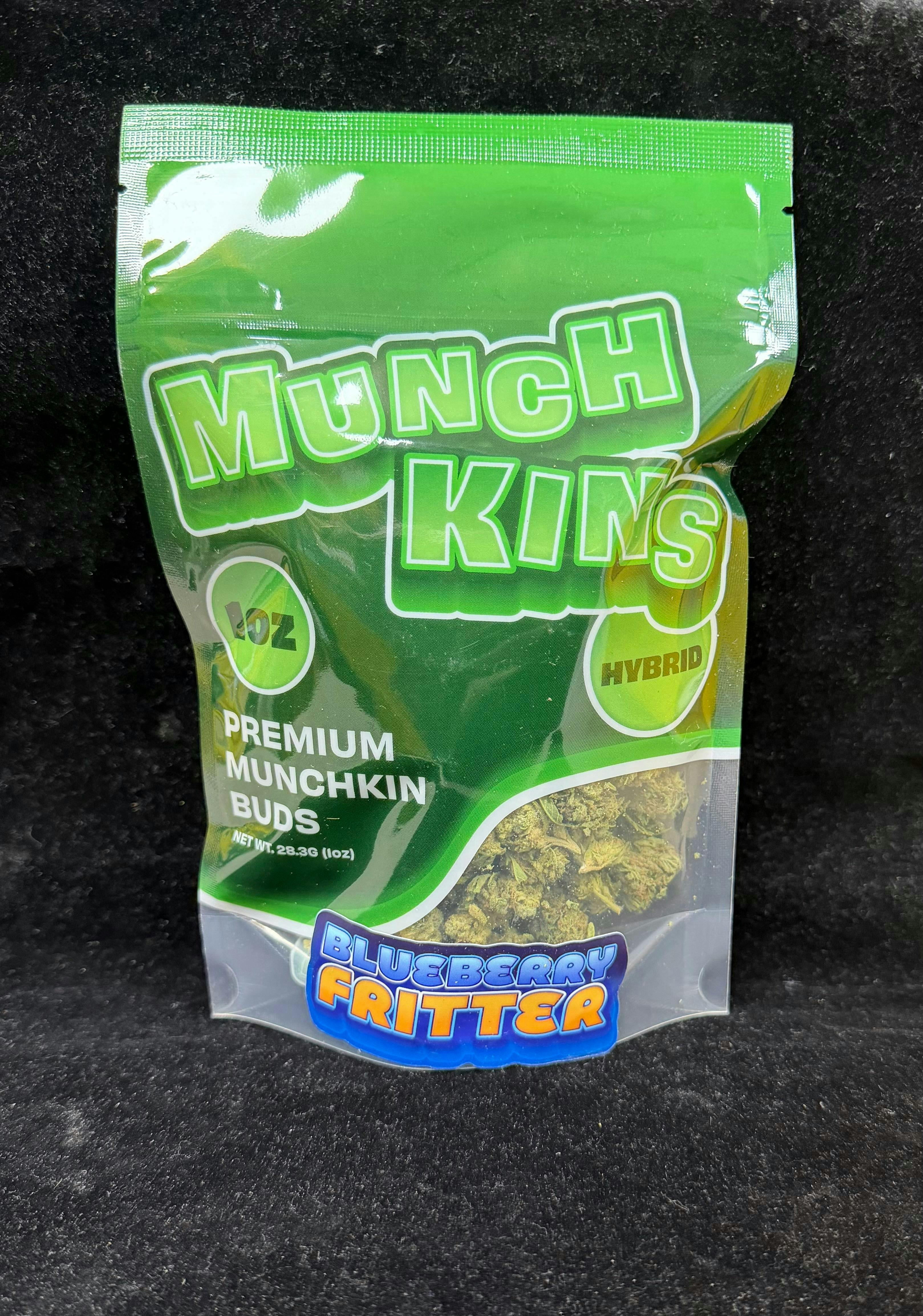 Munchkins | Blueberry Fritter | Small Flower | Hybrid