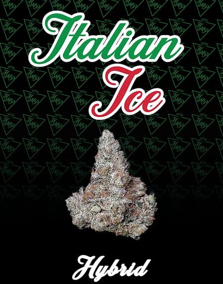 Product Italian Ice Buds