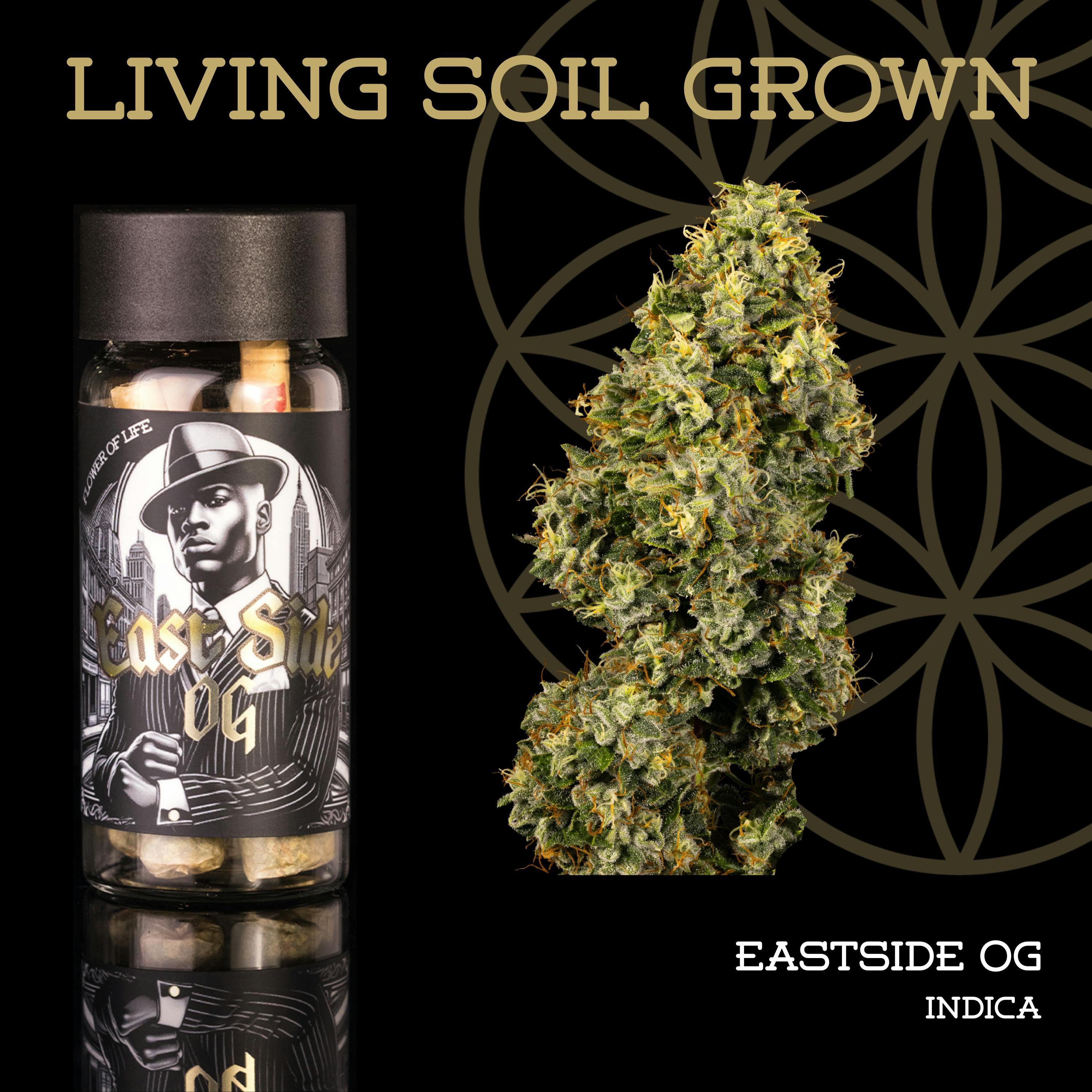 Flower of Life | Pre-Roll 5-Pack | 2.5g | Living Soil - Eastside OG