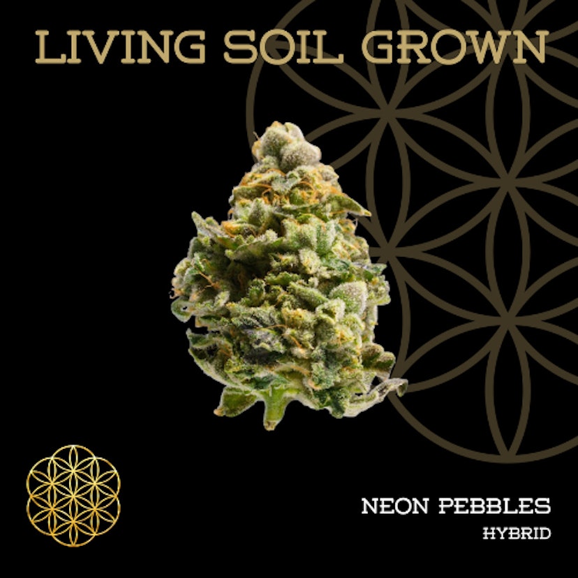 Flower Of Life Flower Neon Pebbles