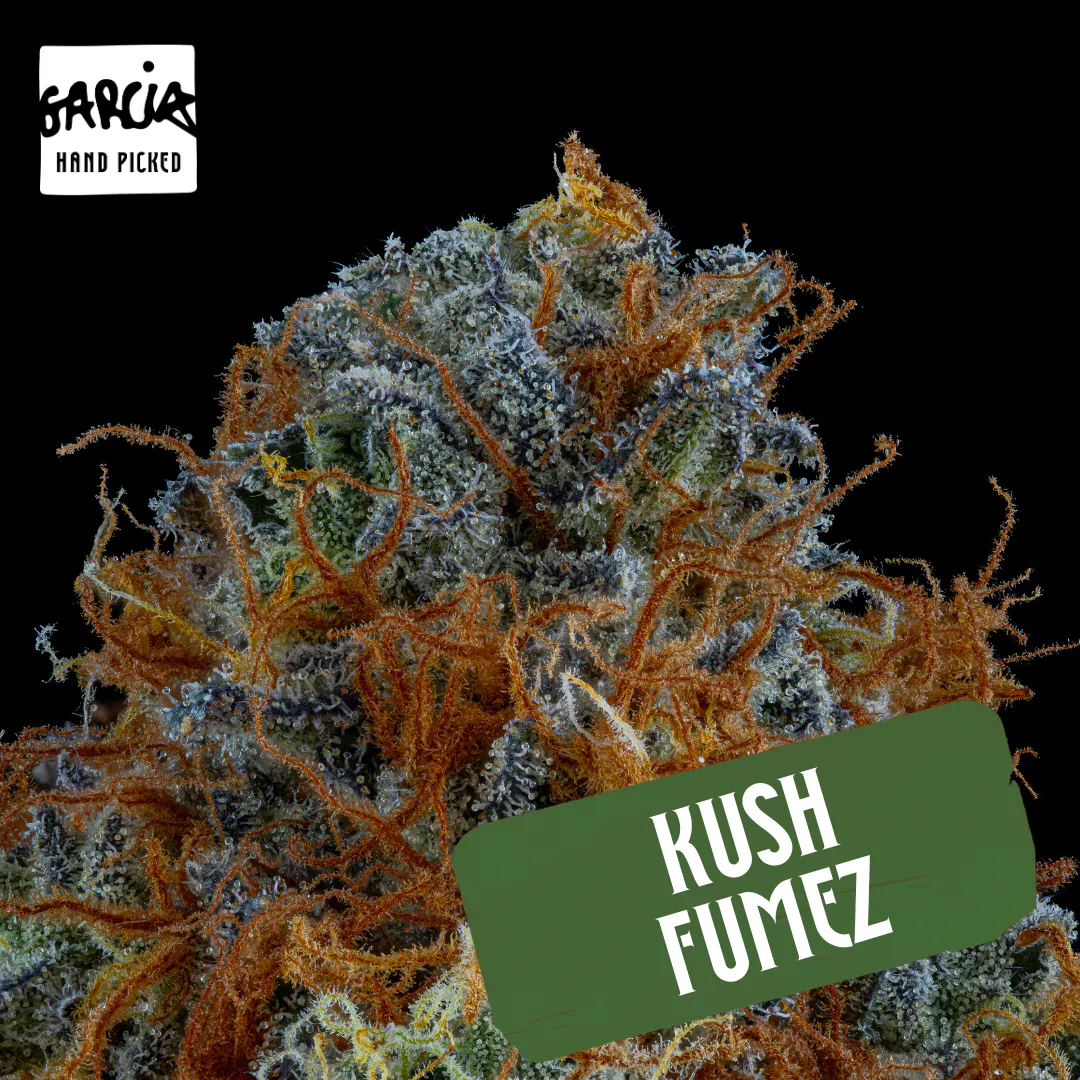 Kush Fumez at Liberty (Somerville MED)