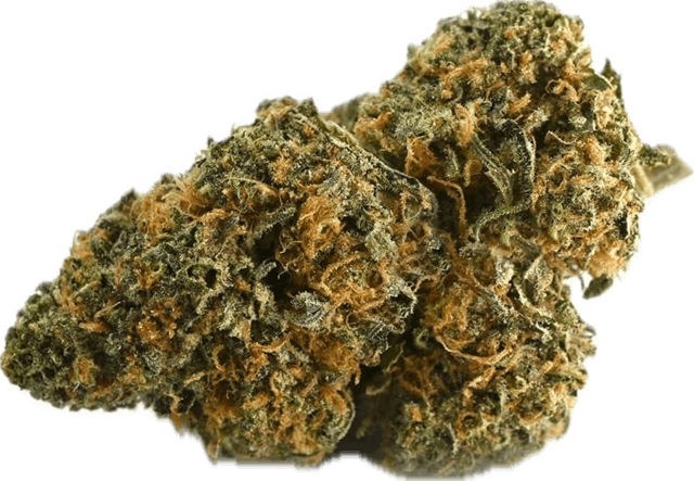 Product: Craft Hydro | Cement Shoes | Indica | Bulk Flower | Platinum