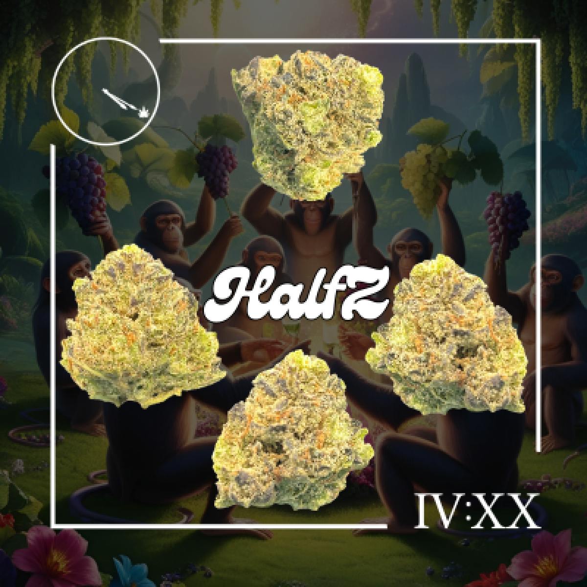 Photo of Four20 – Planet of the Grapes – 14g