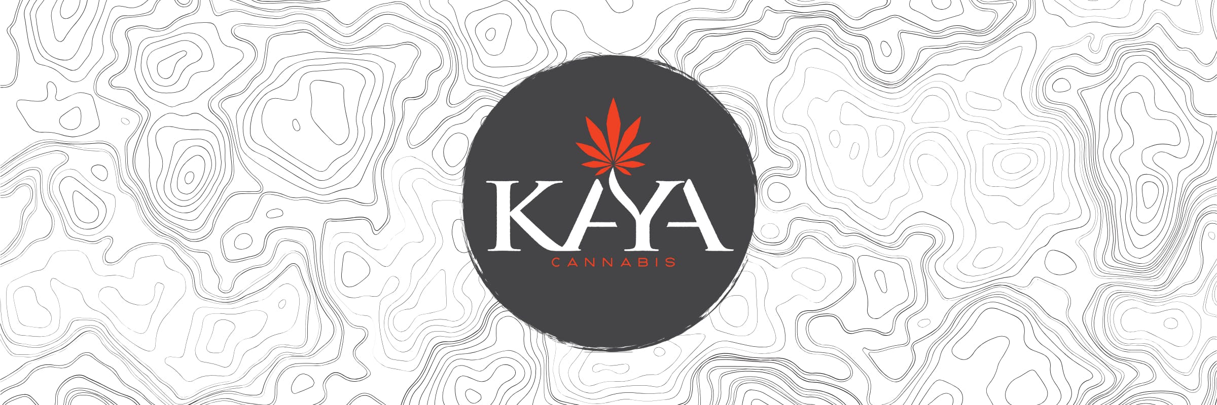 Brand logo with topography background