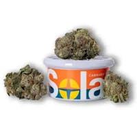 Product Waffle Cone Buds