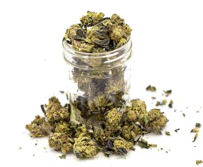 Product: Untrimmed Ounce | The Spice (Untrimmed Flower) | 28g