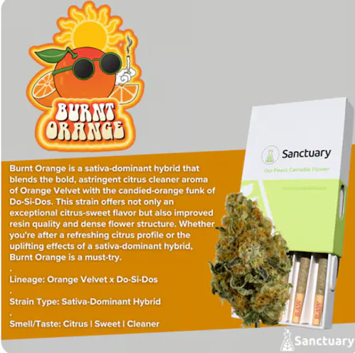Burnt Orange Pre-Roll | 5pk-active