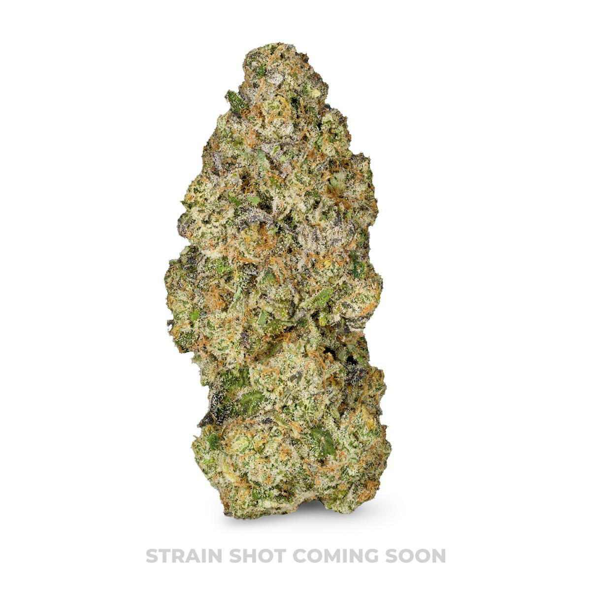 Photo of White Guava Gelato