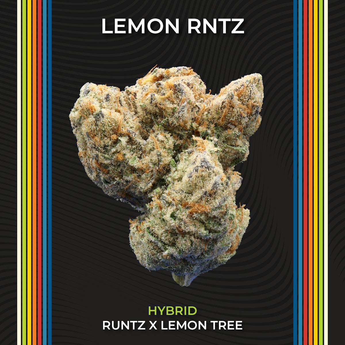 Photo of Lemon Rntz Small Buds