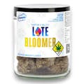 Ooowee Special: Late Bloomer
