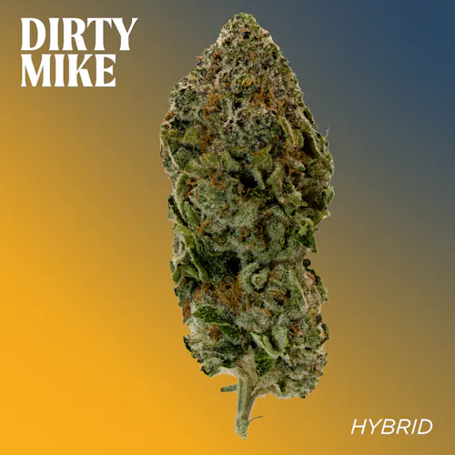 Deli Style | Dirty Mike – Hybrid-active