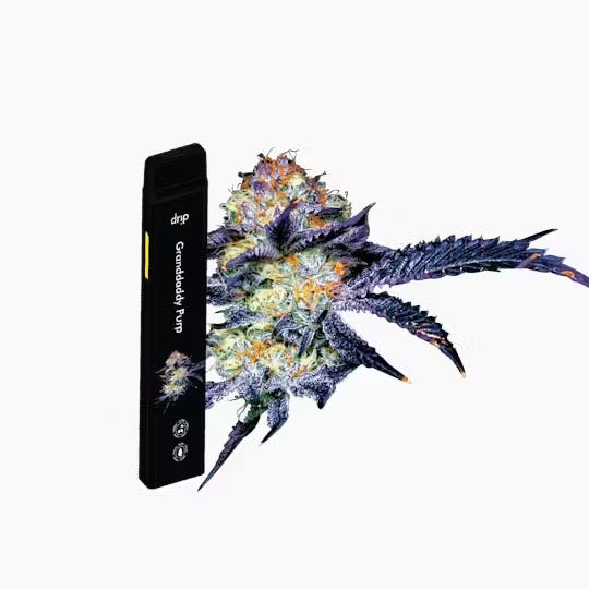 Drip - Granddaddy Purp - 2g Disposable