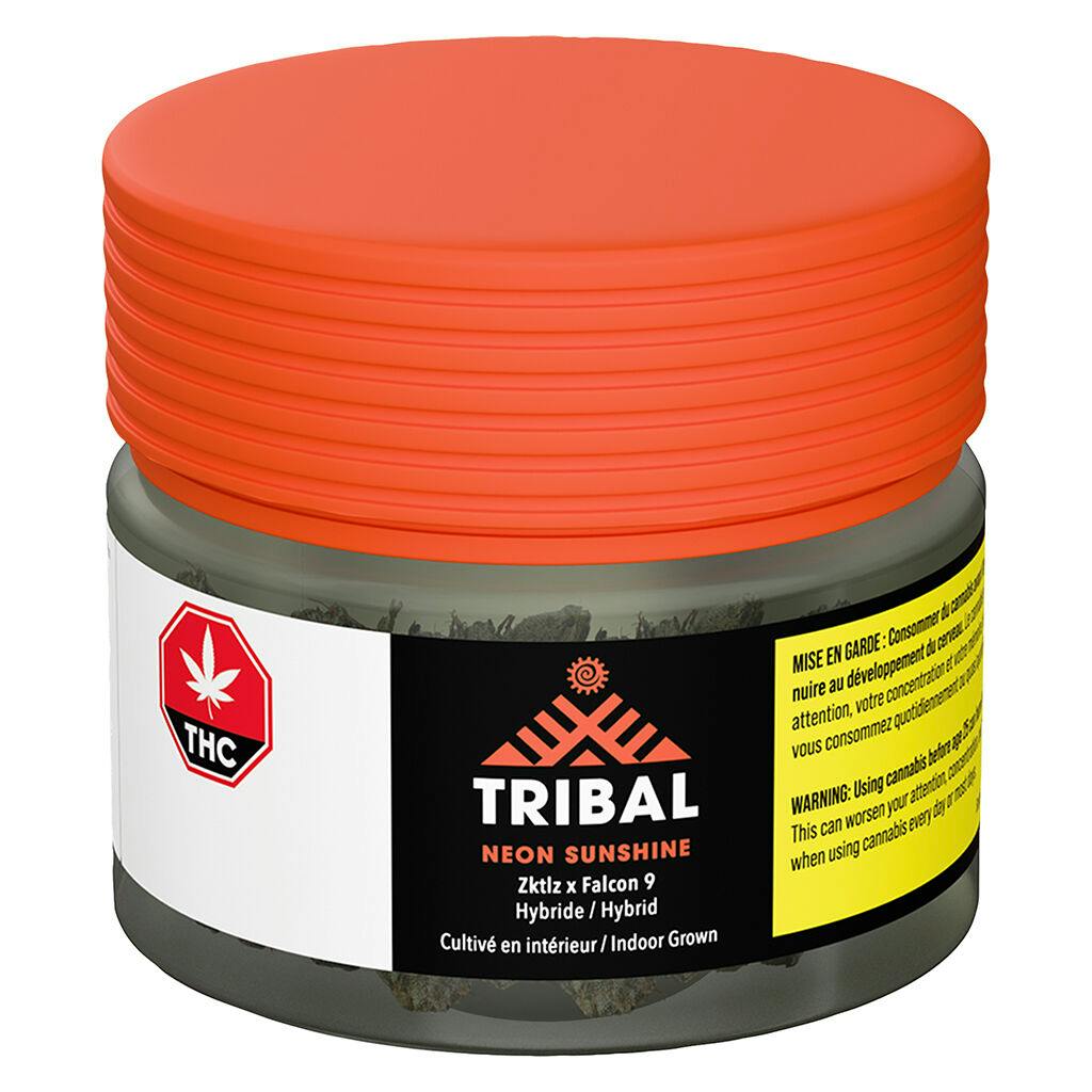 Tribal - Neon Sunshine