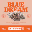 Blue Dream Let's