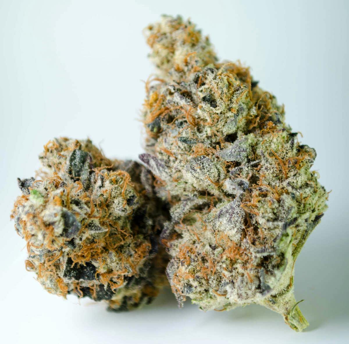 Bronze Shelf – Banana Punch (H) 1g Flower |