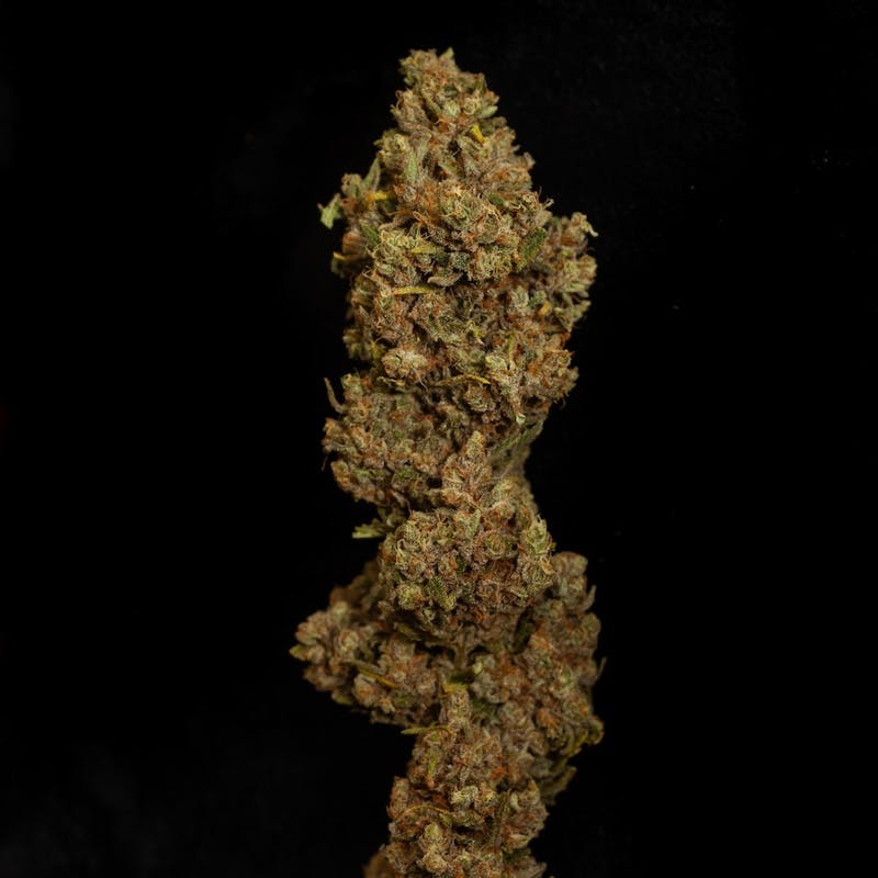 Product Resinate - Pineapple Haze Flower (3.5g)