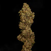 Product Resinate - Pineapple Haze Flower (3.5g)