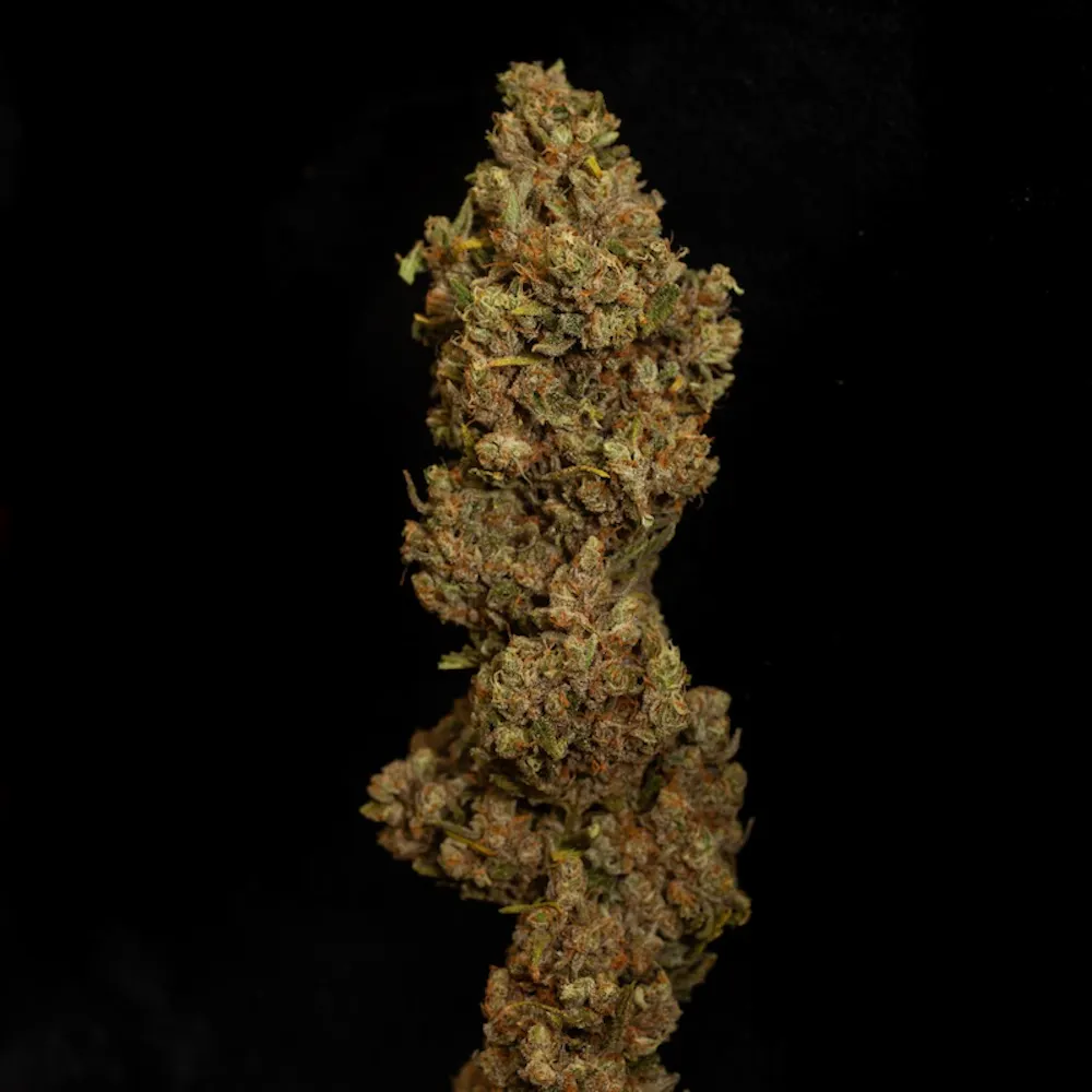Product Resinate - Pineapple Haze Flower (3.5g)