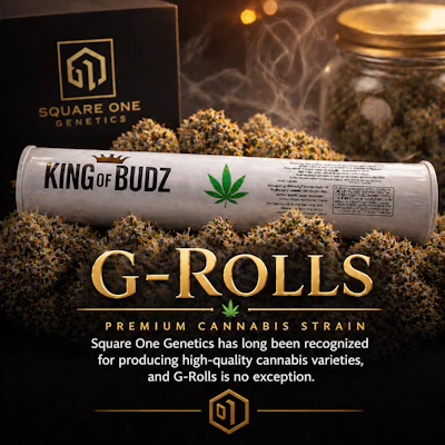 KOB - 1g Preroll - G-Roll